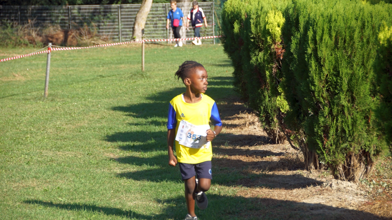 Marina di Ravenna: Promesse di Romagna - 20 settembre 2025